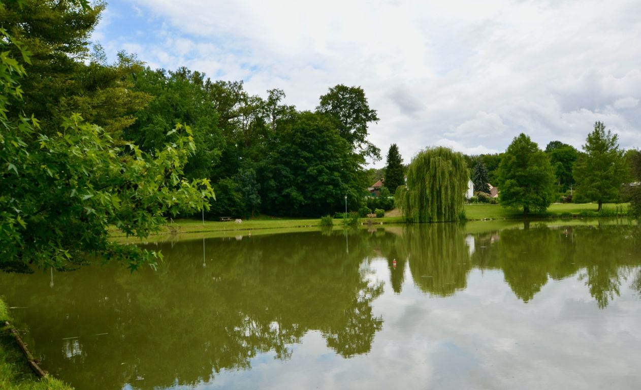 Vente Terrain à bâtir Sonchamp 78120 2067 m²