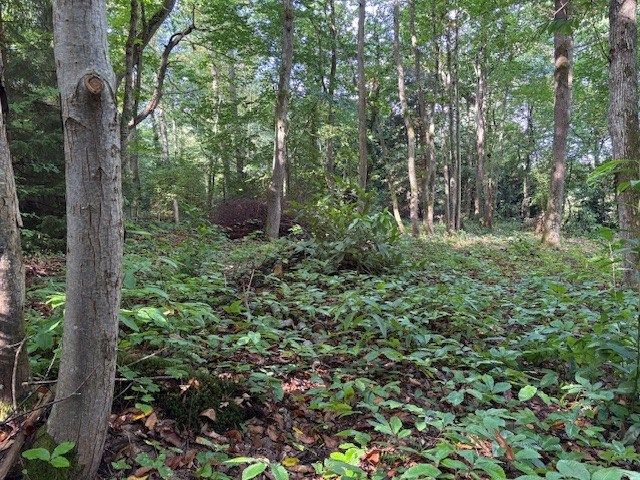 Vente Terrain Clairefontaine-en-Yvelines 78120 870 m²