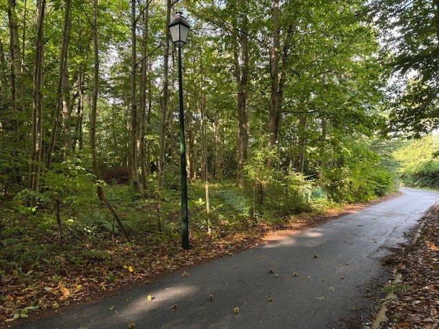 Vente Terrain Clairefontaine-en-Yvelines 78120 870 m²