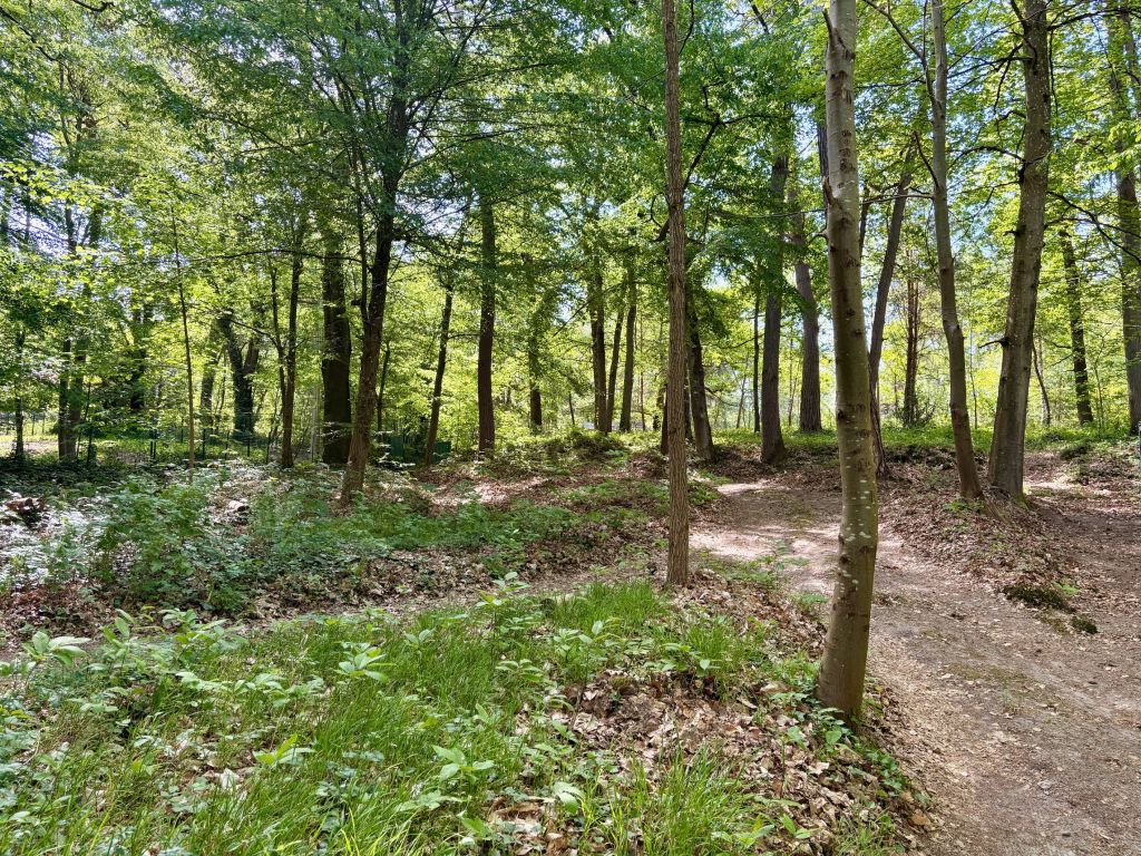 Vente Maison Clairefontaine-en-Yvelines 78120 90&nbsp;m²
