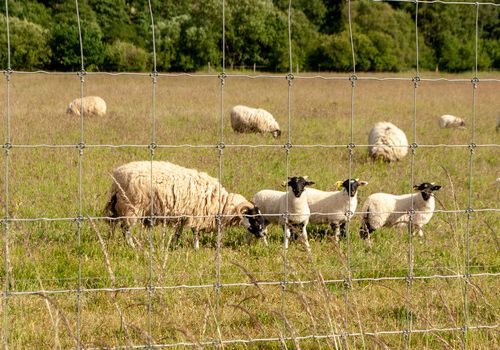 L’art de consommer local en vallée de Chevreuse