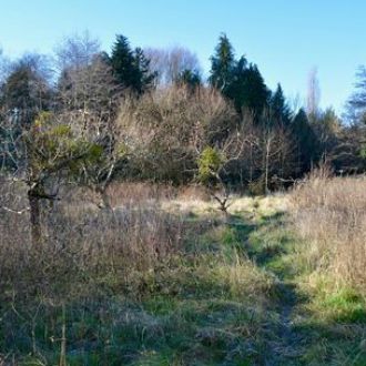 CLAIREFONTAINE EN YVELINES - Terrain à bâtir